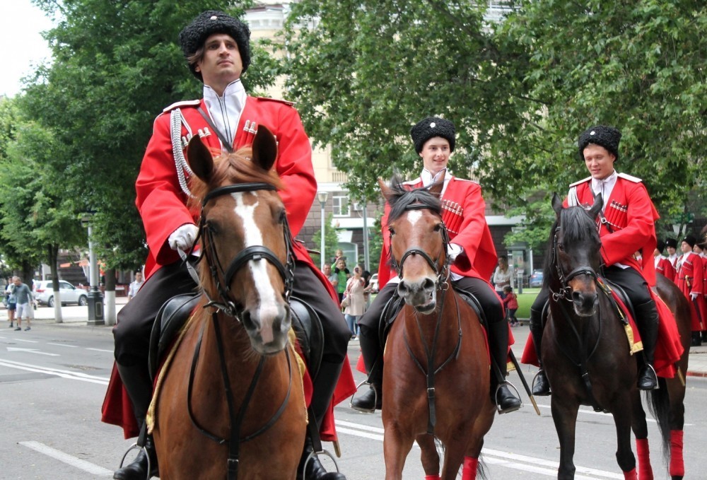 The Kuban Cossack Army believes that it is not obligatory to remove horse manure in the center of Krasnodar - Krasnodar, Cossacks, Manure, Answer, Negative, Dirt, Society, Who's guilty