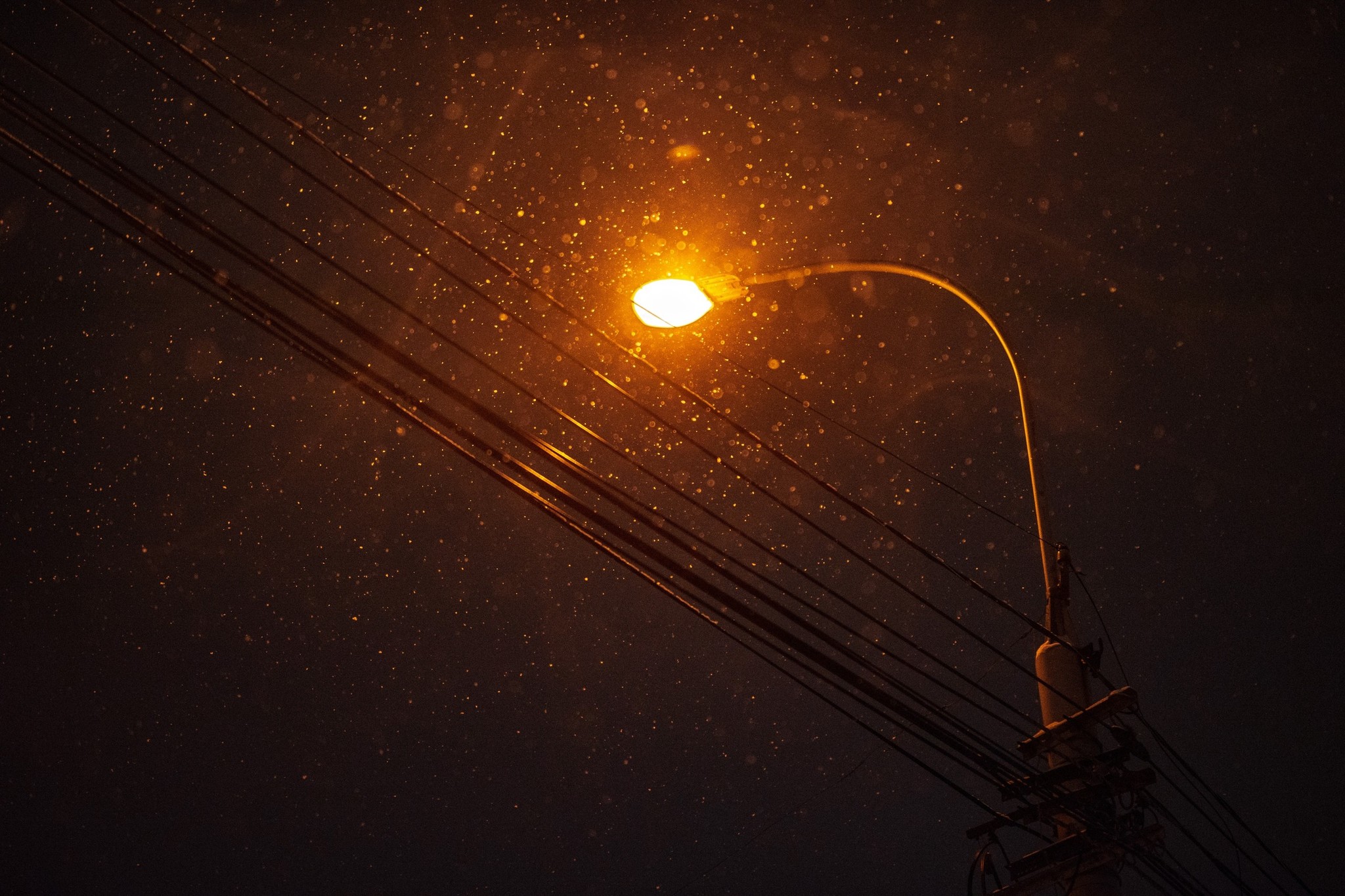 Night snowfall - My, The photo, Snow, Tomsk, Night, Bus, Longpost