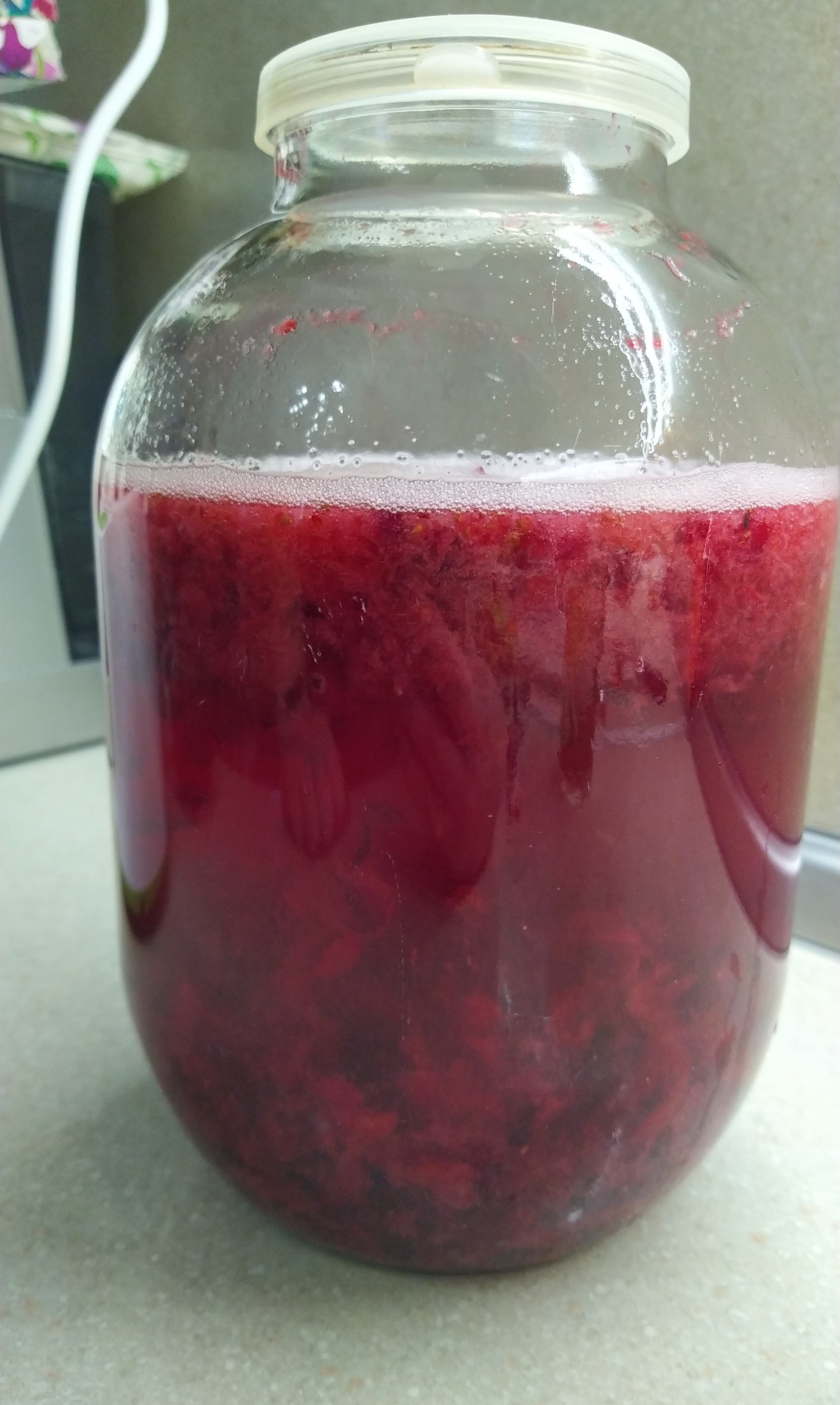 Cranberry tincture - My, Longpost, League of alcoholics, Cranberry, Tincture, Alcohol, Recipe