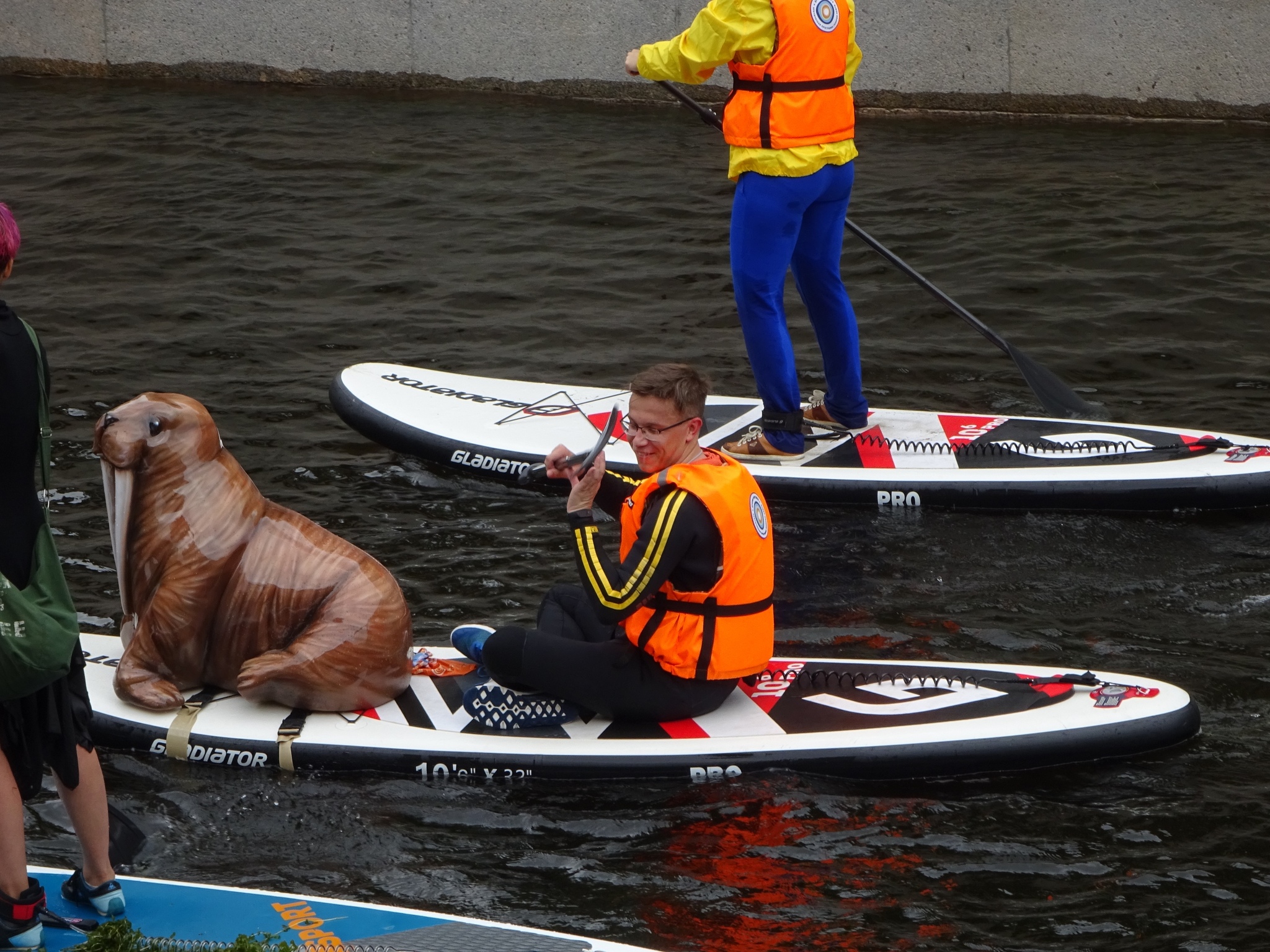 SUP surfing in St. Petersburg - My, SUPsurfing, Saint Petersburg, The photo, Video, Longpost