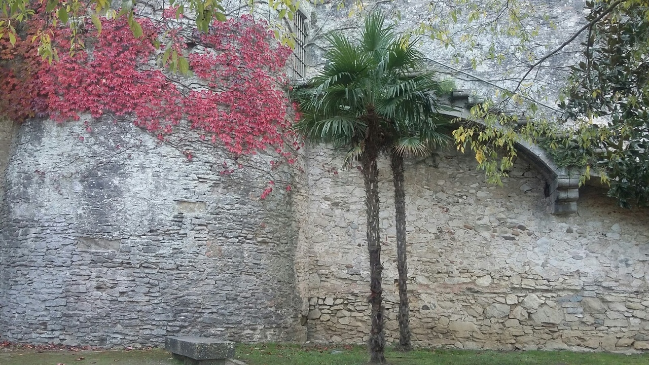 Gerona,Spain - My, Girona, No filters, 2019, Longpost