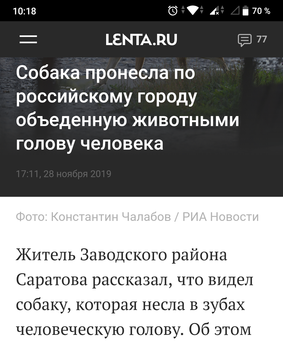 Как дела в Омске? - Моё, Саратов vs Омск, Саратов, Омск, Собака, Лента новостей