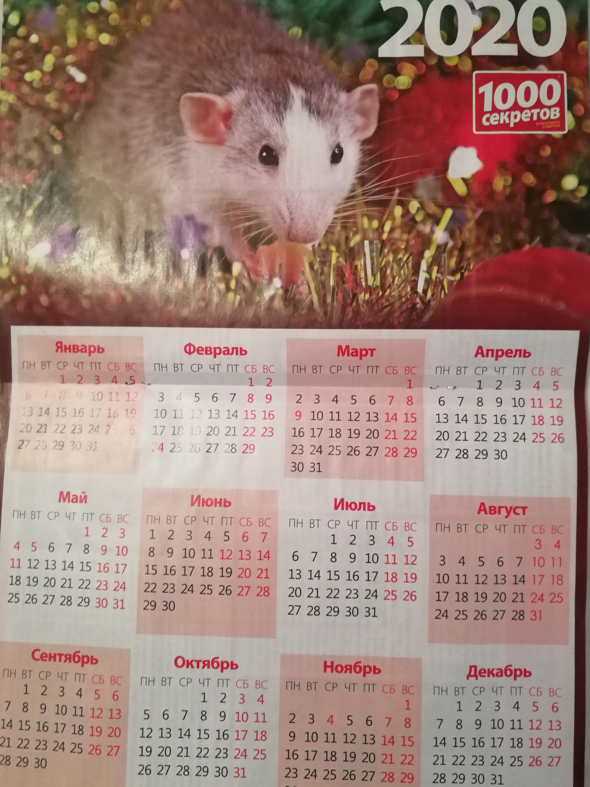 Calendar - My, The calendar, Typo, 2020, Longpost