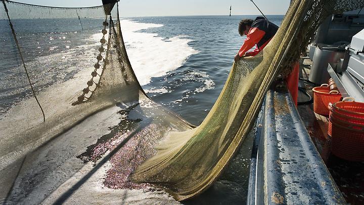 Fishermen from Novosibirsk are trying to save fish - My, No rating, Fishing, Reservoir, Novosibirsk, Петиция, Change org, Nature, Ecology, Longpost