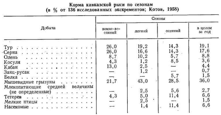 Кавказская рысь - Моё, Семейство кошачьих, Млекопитающие, Животные, Плацентарные, Рысь, Малые кошки, Зоология, Длиннопост, Европейская рысь