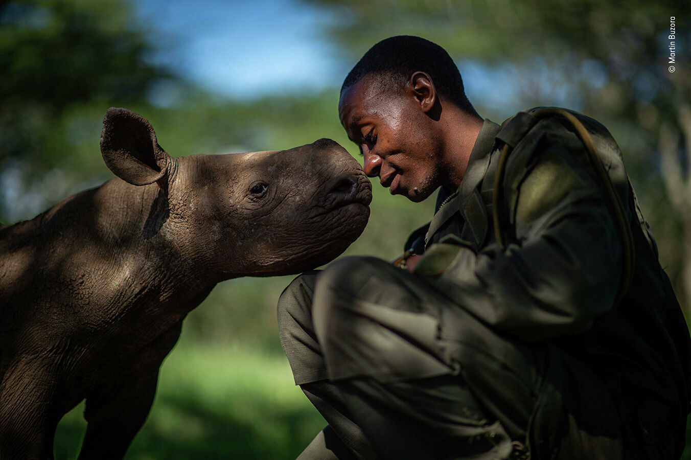 Wildlife Photographer of the Year Competition - Nature, The photo, Longpost