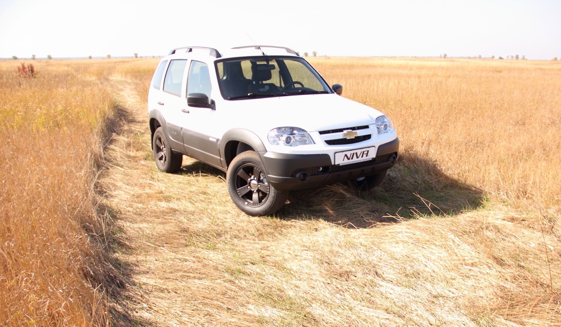 The head of the district was fined 10 thousand for purchasing a non-alternative Niva through government procurement - Government purchases, Prosecutor's office, Krasnoyarsk, Chevrolet niva, Negative