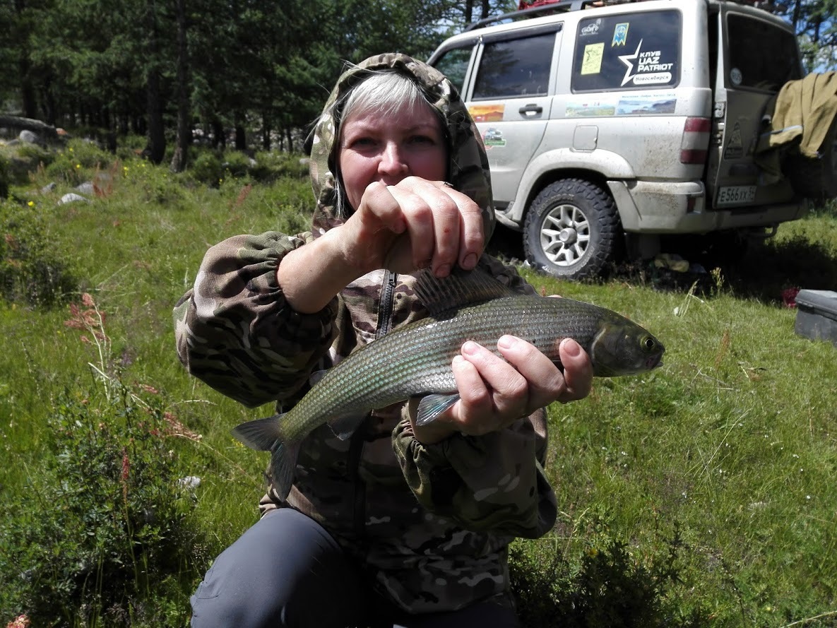 Mongolia 2018 - My, Mongolia, Tourism, Jeepers, Travels, In my heart, Longpost