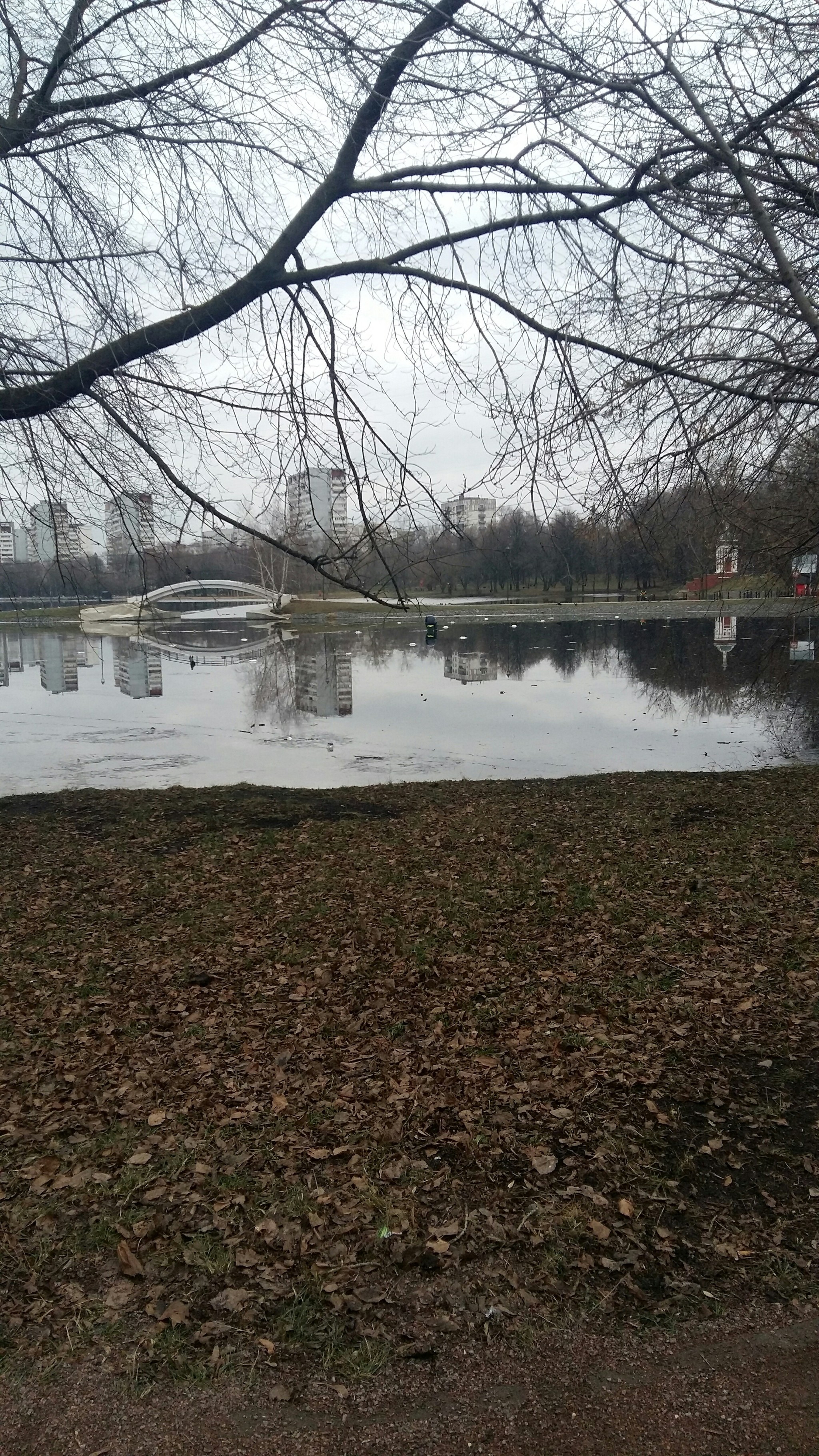 Those who walk on the water are among us - My, The photo, Winter fishing, Longpost