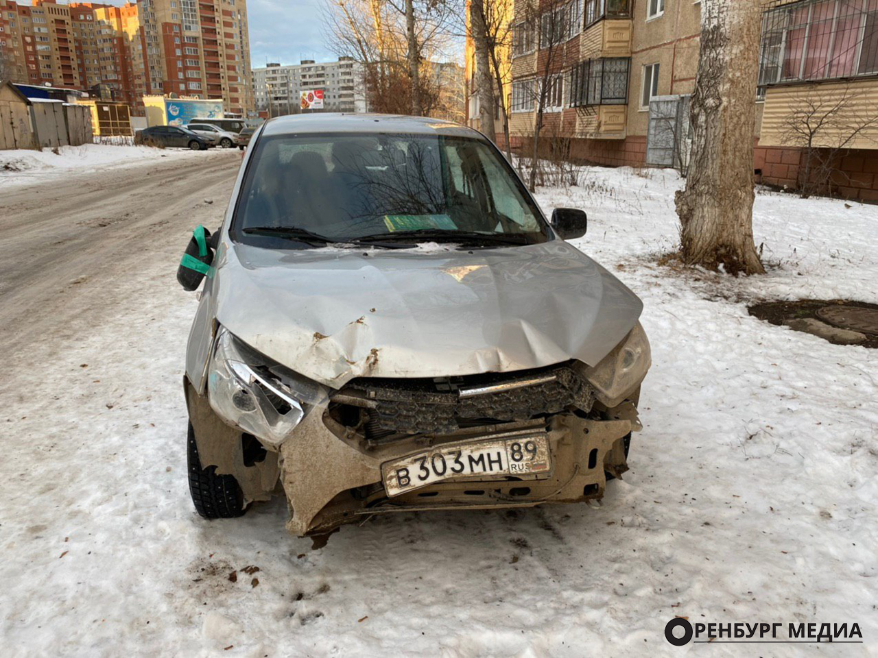 Дом на колесах. В Оренбурге несколько кошек и двух собак держат в разбитой  машине | Пикабу