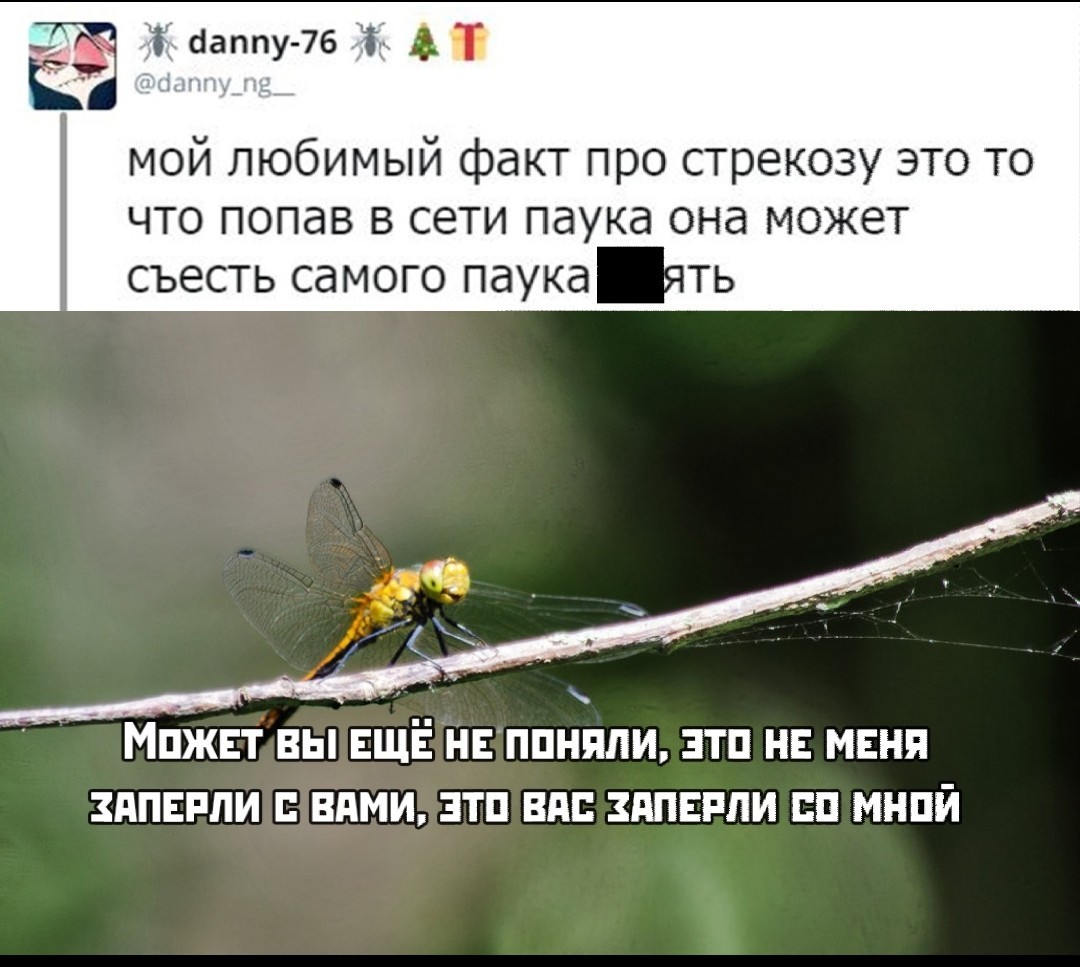 1576132270178536369.jpg
