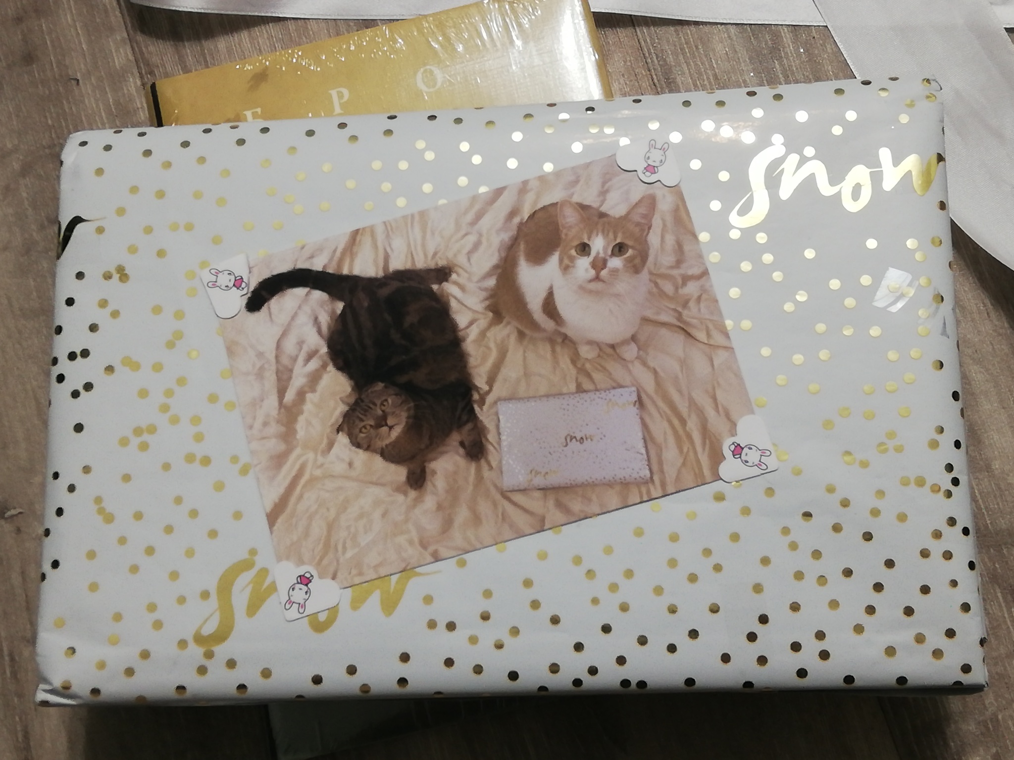 ADM Belgorod - Zarechny - Gift exchange report, Secret Santa, Zarechny, Belgorod, Longpost, cat, Gift exchange