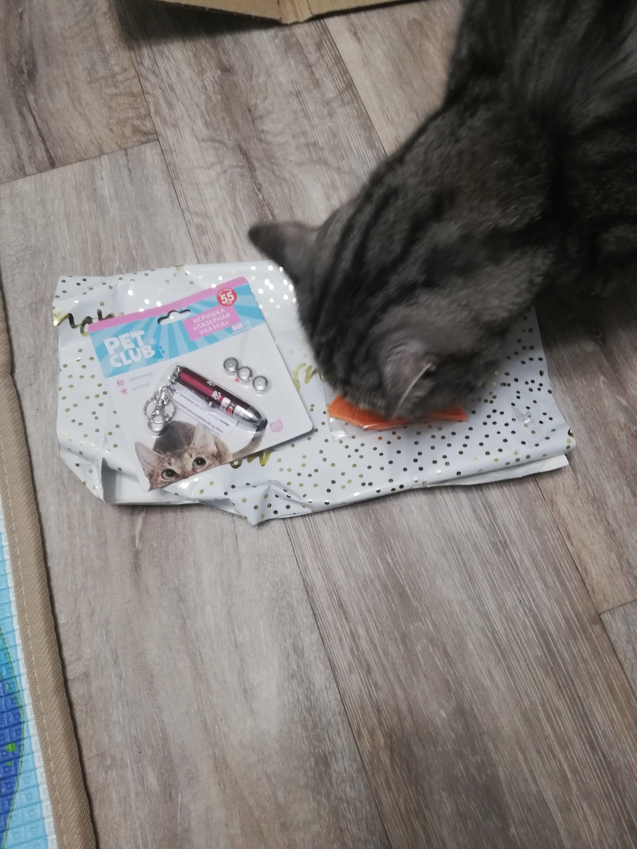 ADM Belgorod - Zarechny - Gift exchange report, Secret Santa, Zarechny, Belgorod, Longpost, cat, Gift exchange