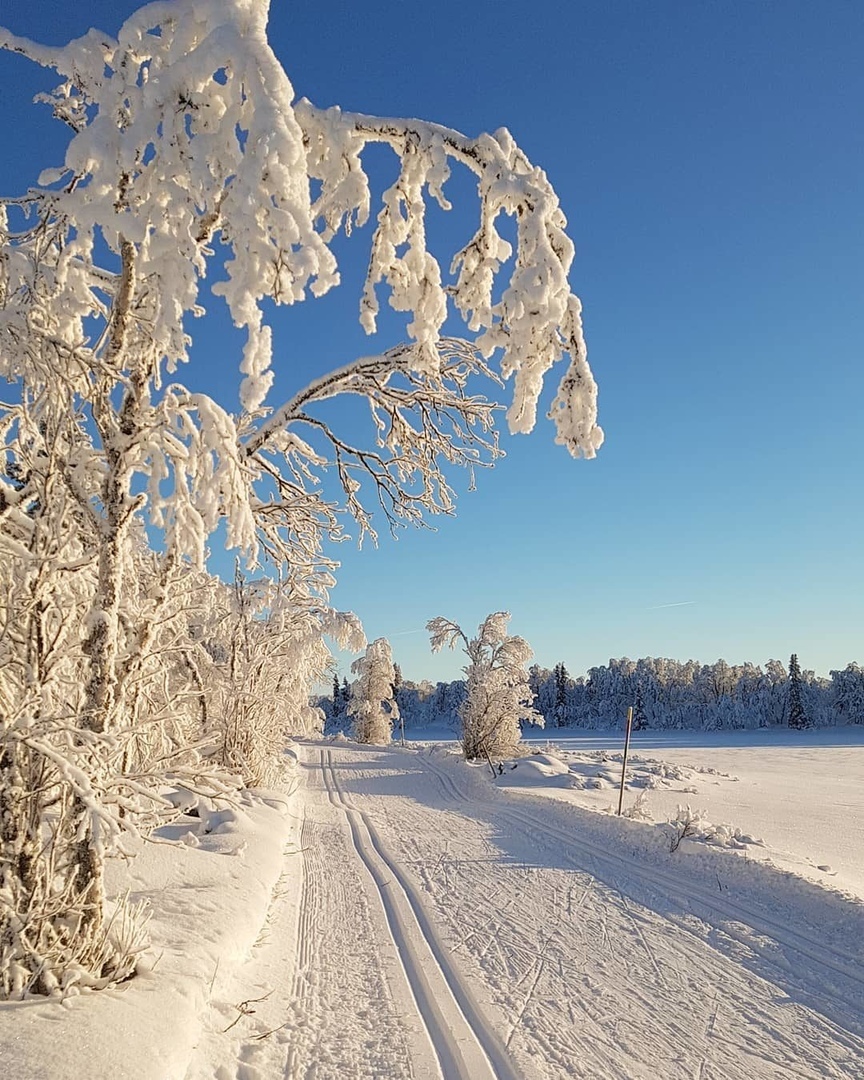 Ski track - The photo, Nature, Ski track, Winter