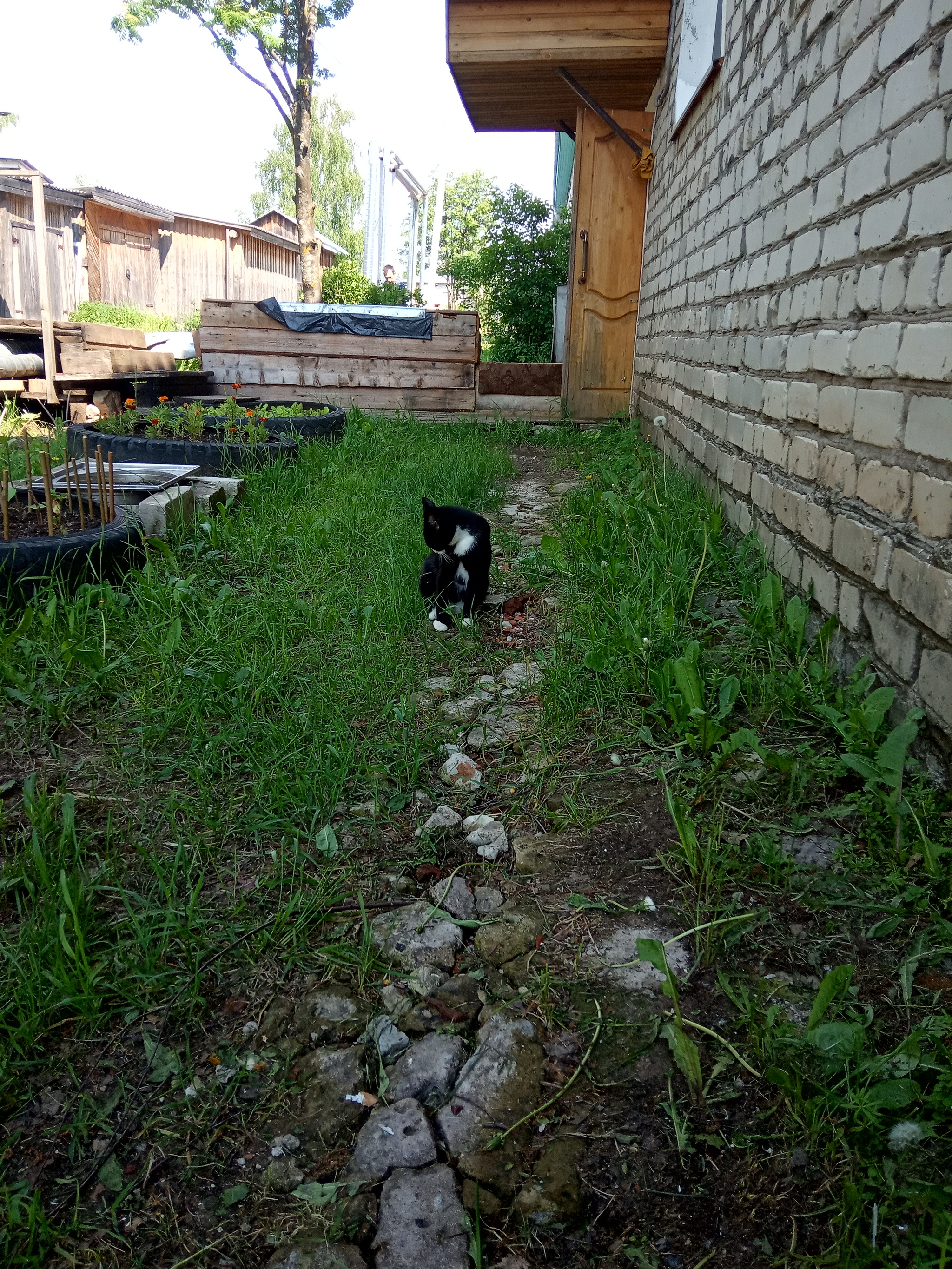 Вохма - родной поселок - Моё, Кострома, Фотография, Путешествие по России, Родина, Деревня, Длиннопост