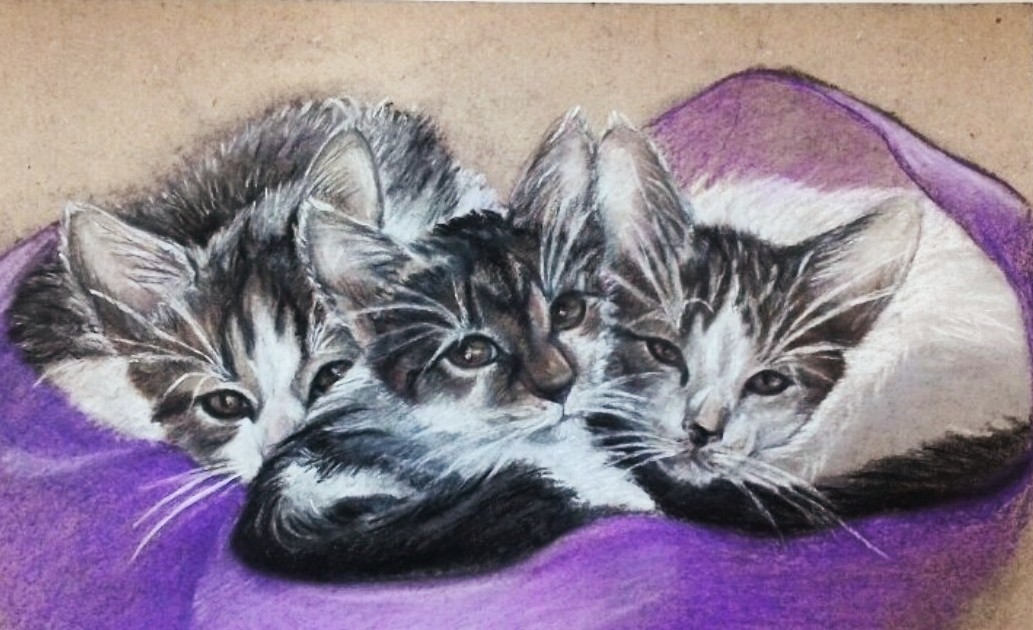 Cats - My, Art, Animalistics, cat