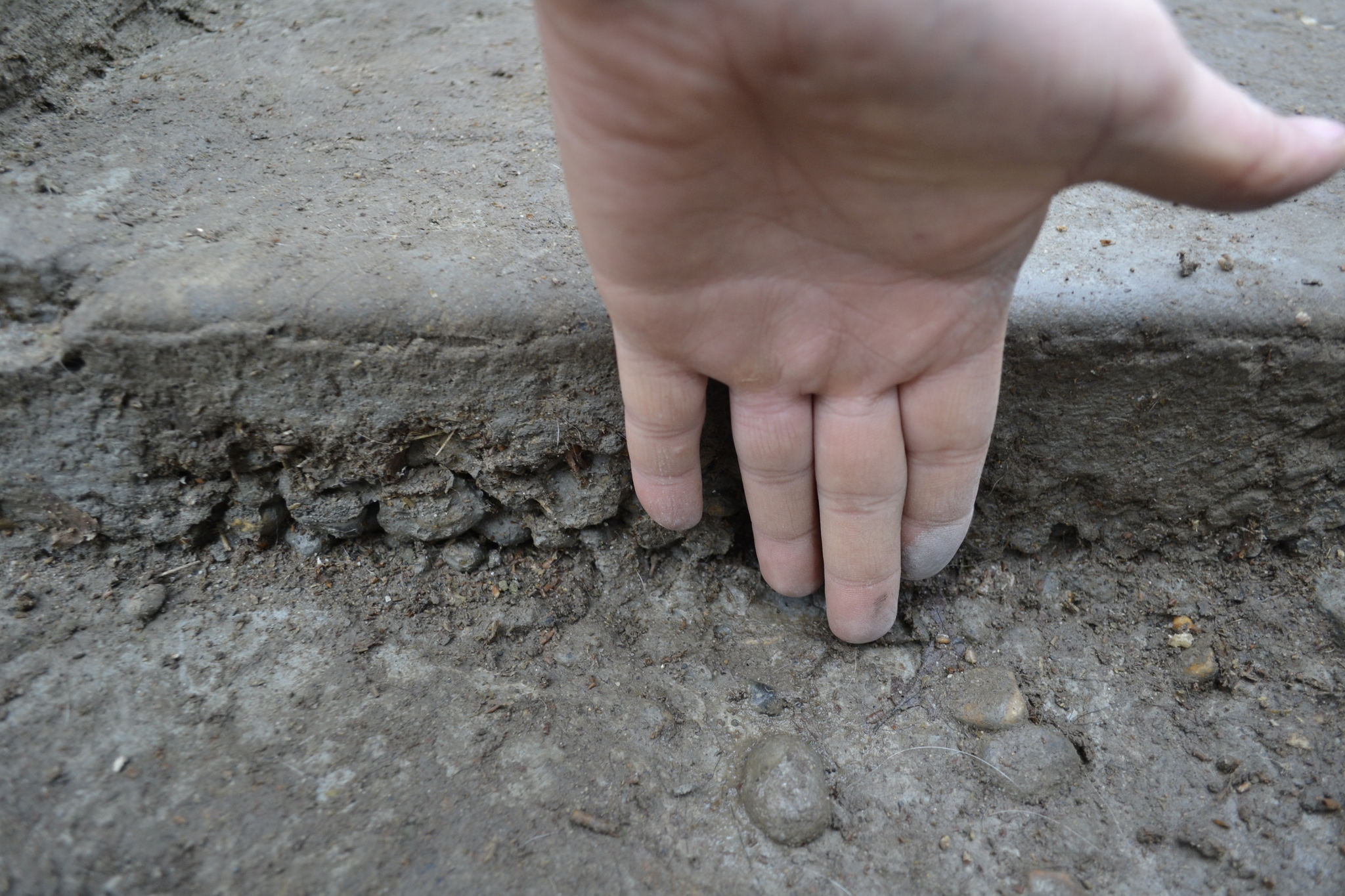 Concreting the yard - My, Building, Decorative stone, With your own hands, Video, Longpost