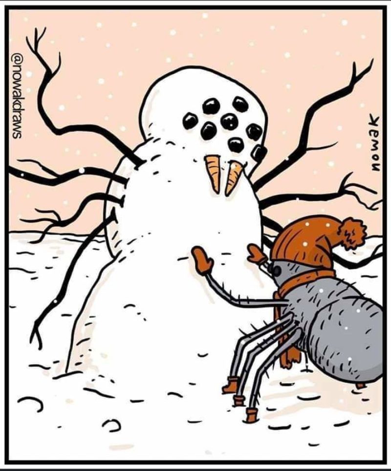 In the image and likeness - snowman, Spider