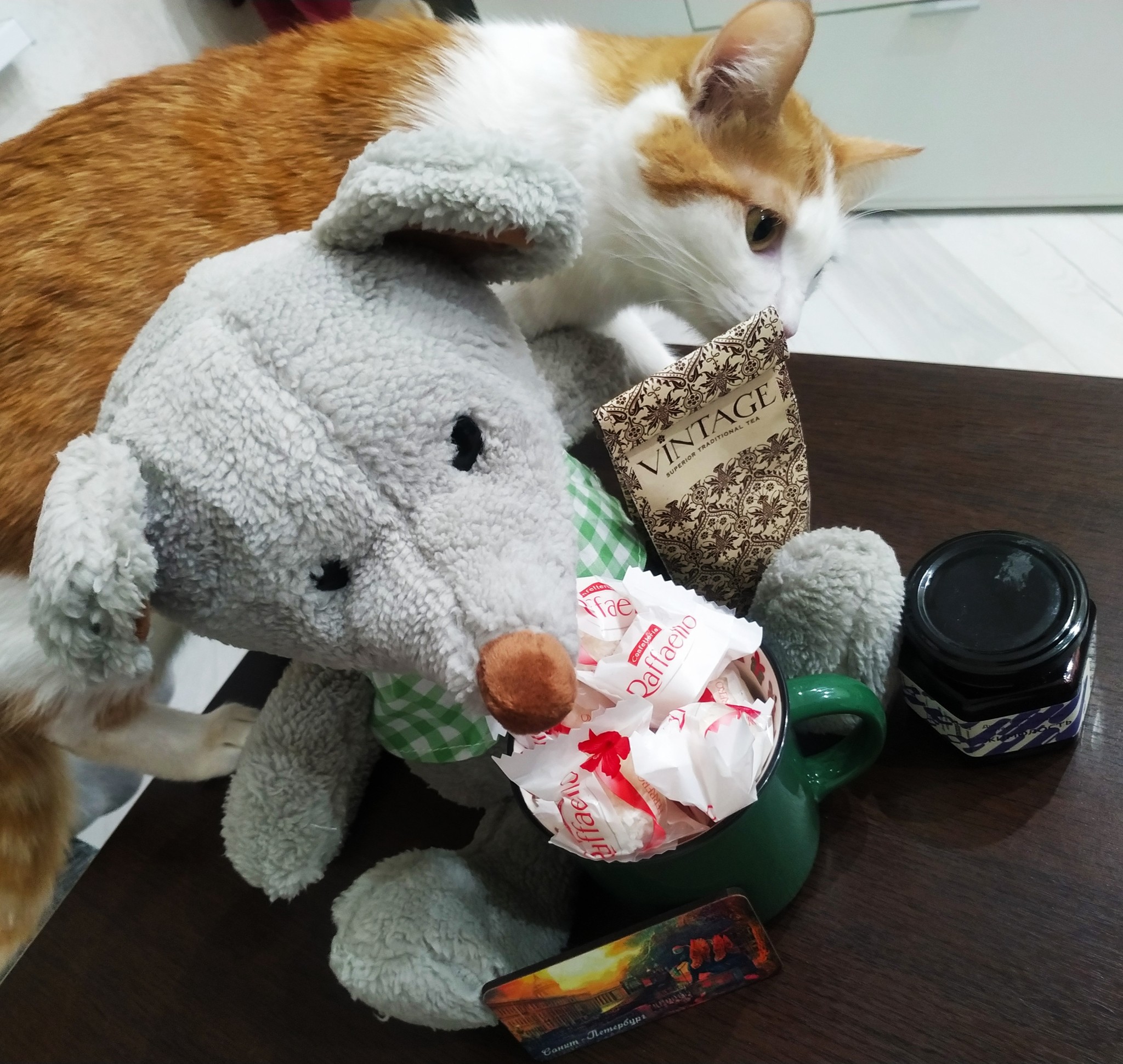 New Year's gift exchange 2019-2020_ St. Petersburg-Moscow - My, Gift exchange, Gift exchange report, New Year's gift exchange, Longpost, Secret Santa, cat