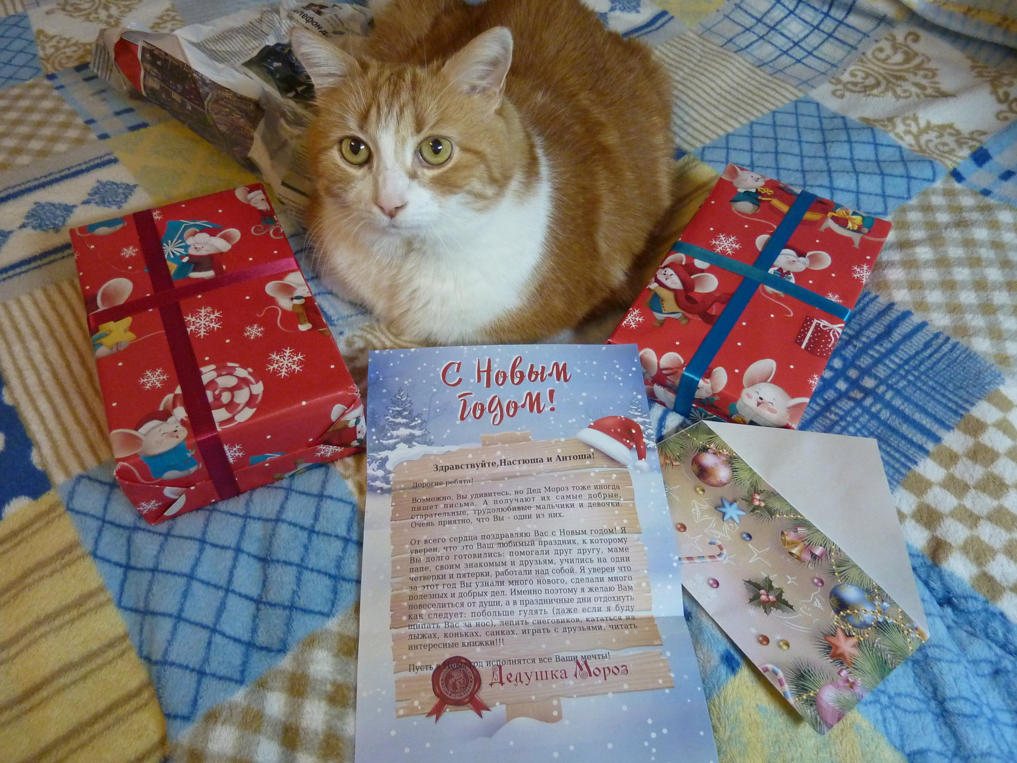 ADM Moscow - Yaroslavl - My, Gift exchange report, Secret Santa, New Year's gift exchange, cat, Longpost, Gift exchange