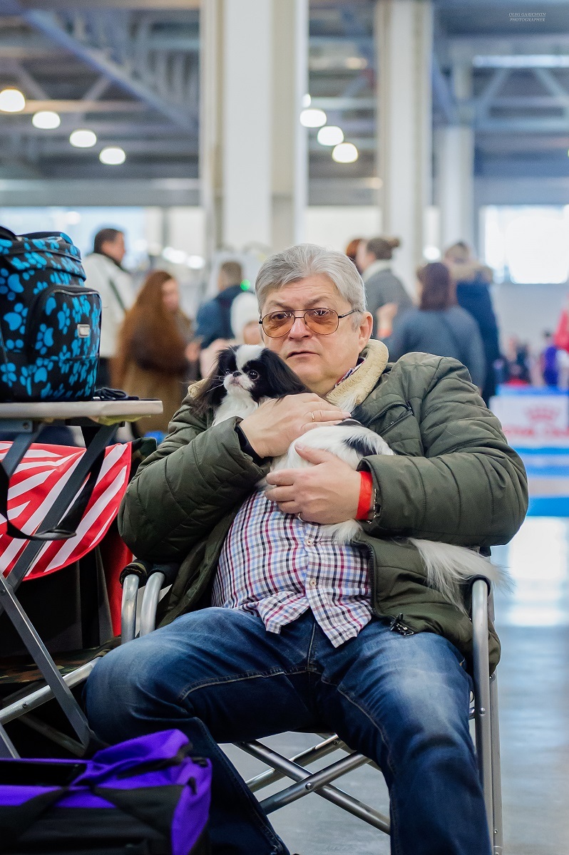 I continue to publish reportage photographs from dog shows held in 2019 in the South of Russia and the Moscow region - enjoy your viewing and - My, The photo, Dog show, Dog, Dogs and people, Dog lovers, Dog days, Longpost