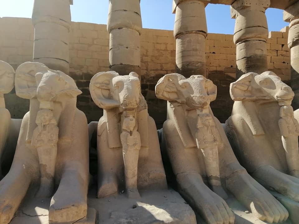 Egyptian force! - My, Egypt, Luxor, Longpost