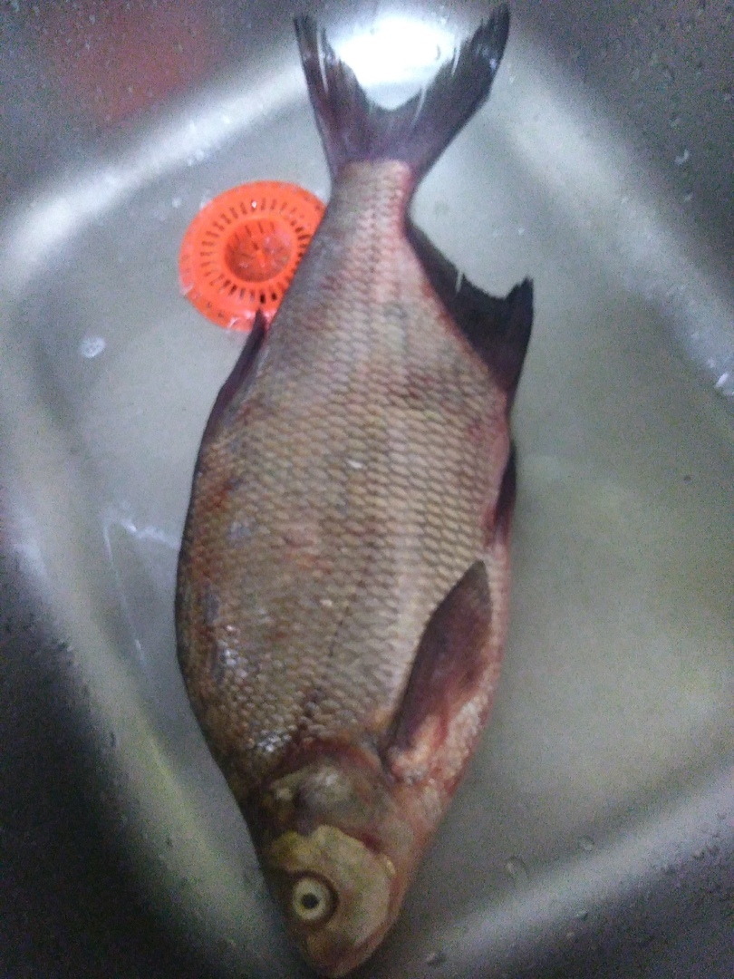 Рыба Лещ Рецепты С Фото