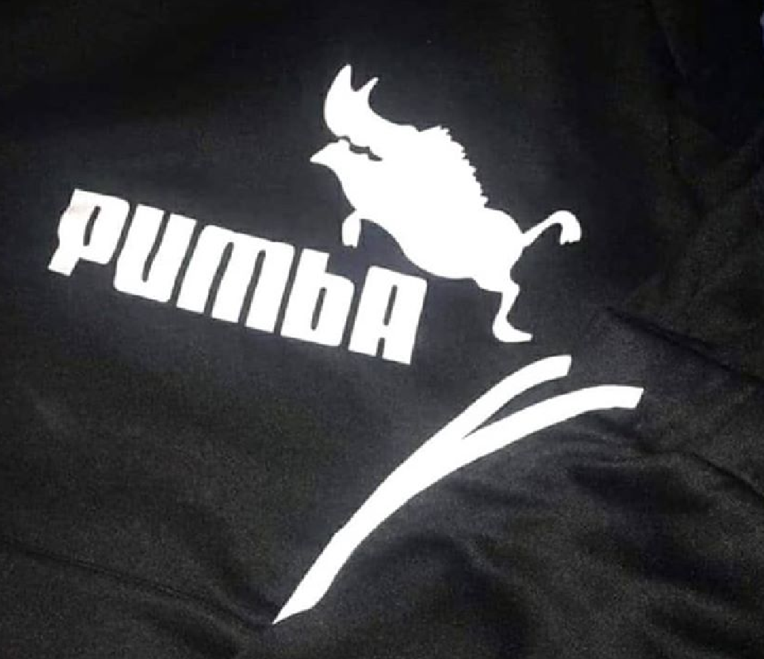 PUMBA - Logo, The photo