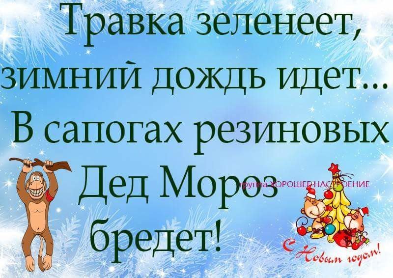 На улице слякоть, а мы не будем плакать! Ставрополь - Нью Джерси - Моё, Обмен подарками, Тайный Санта, Кот, Длиннопост, Отчет по обмену подарками, Новогодний обмен подарками