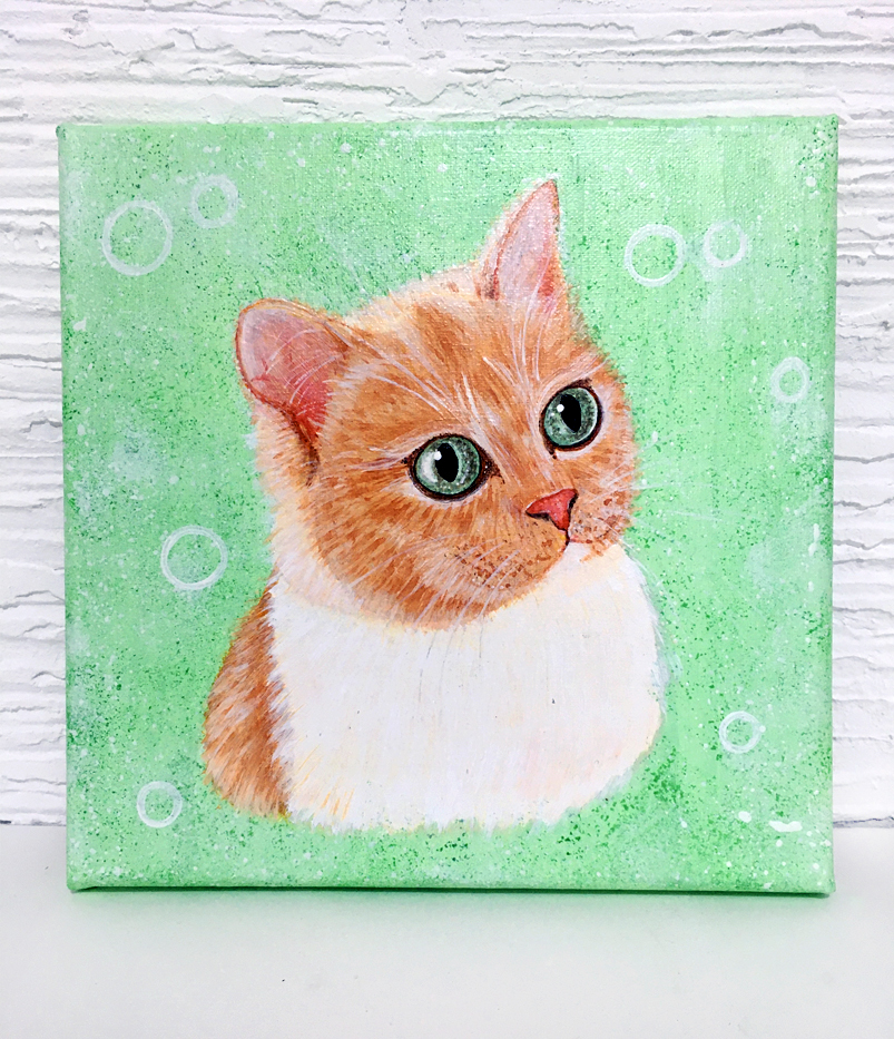 Котики | Пикабу