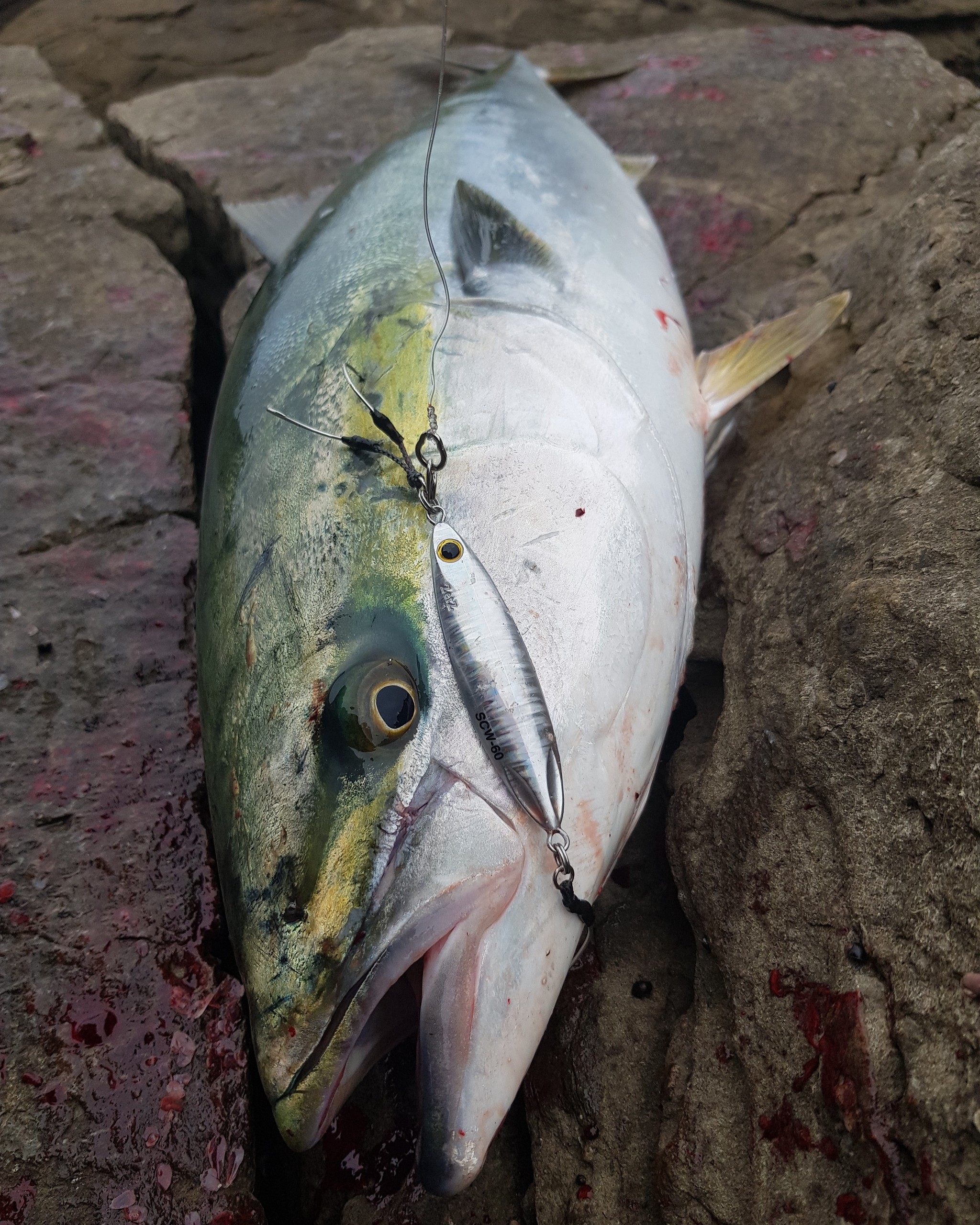 На берегу японского моря. (Тоска по лету) - Рыбалка, Японское море, Рыбаки, Лакедра, Длиннопост