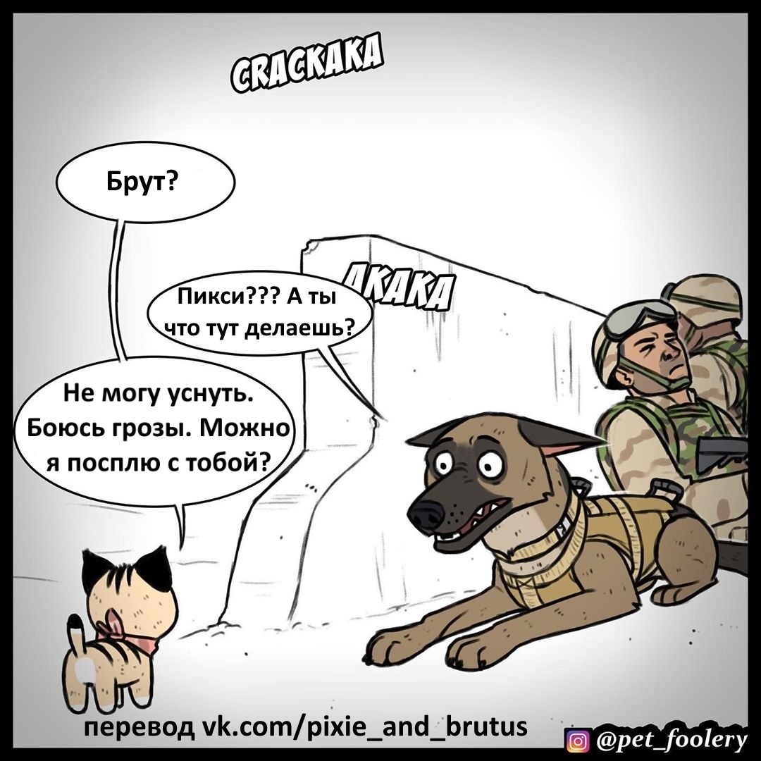 Флэшбэк Брута - Pet Foolery, Брут и Пикси, Комиксы, Длиннопост, Флешбек