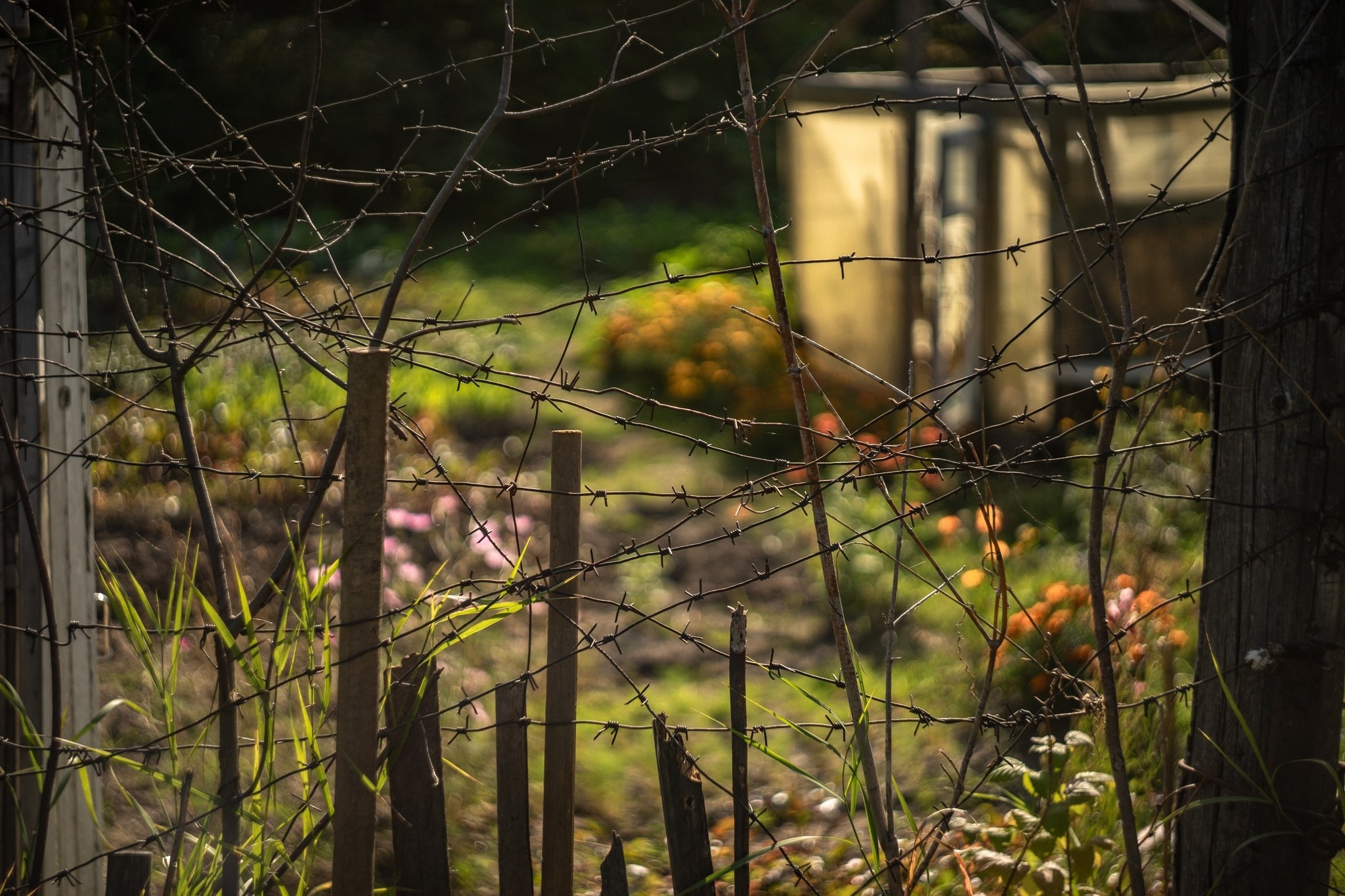 Neighborhoods of the closed city - My, The photo, Tomsk, Seversk, But Seversk, Barbed wire, Longpost