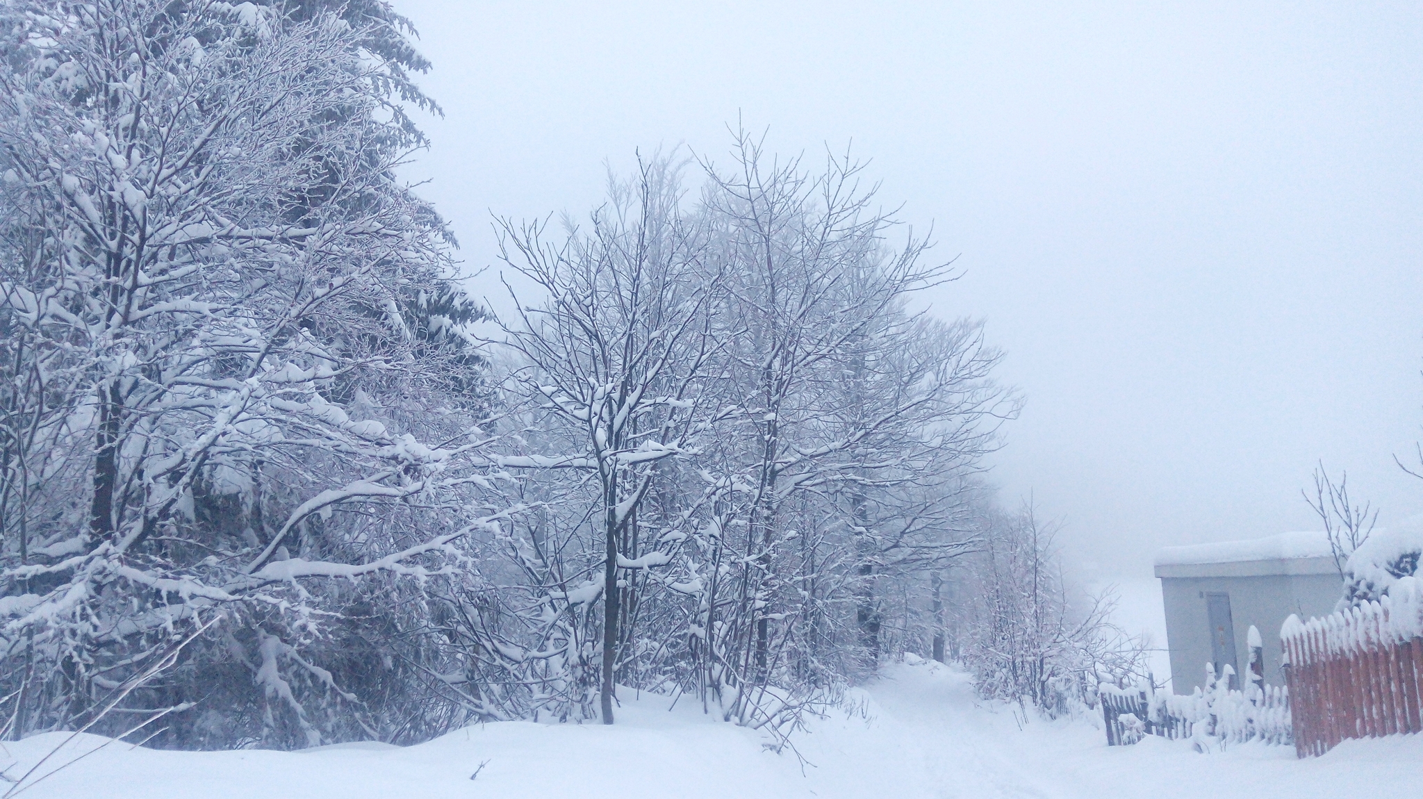 Winter - My, Longpost, Poland, Living abroad, Work abroad, Travels, Winter, The photo, The mountains