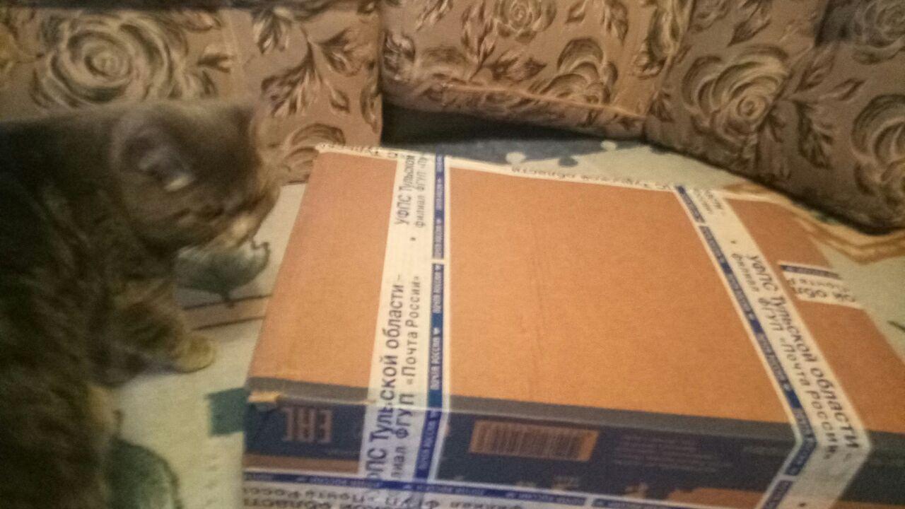 ADM Aleksin - Serov - My, Secret Santa, New Year's gift exchange, Longpost, cat, Gift exchange