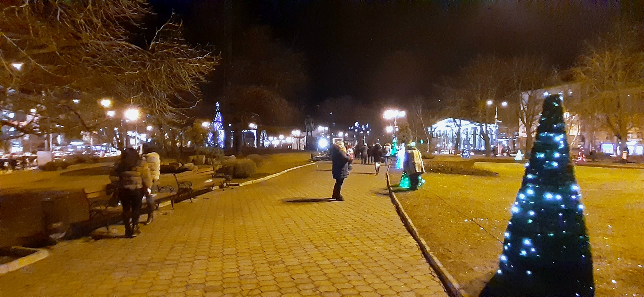 Lenina sq. Donetsk - My, Photo on sneaker, Donetsk, Longpost, Christmas tree, Christmas trees