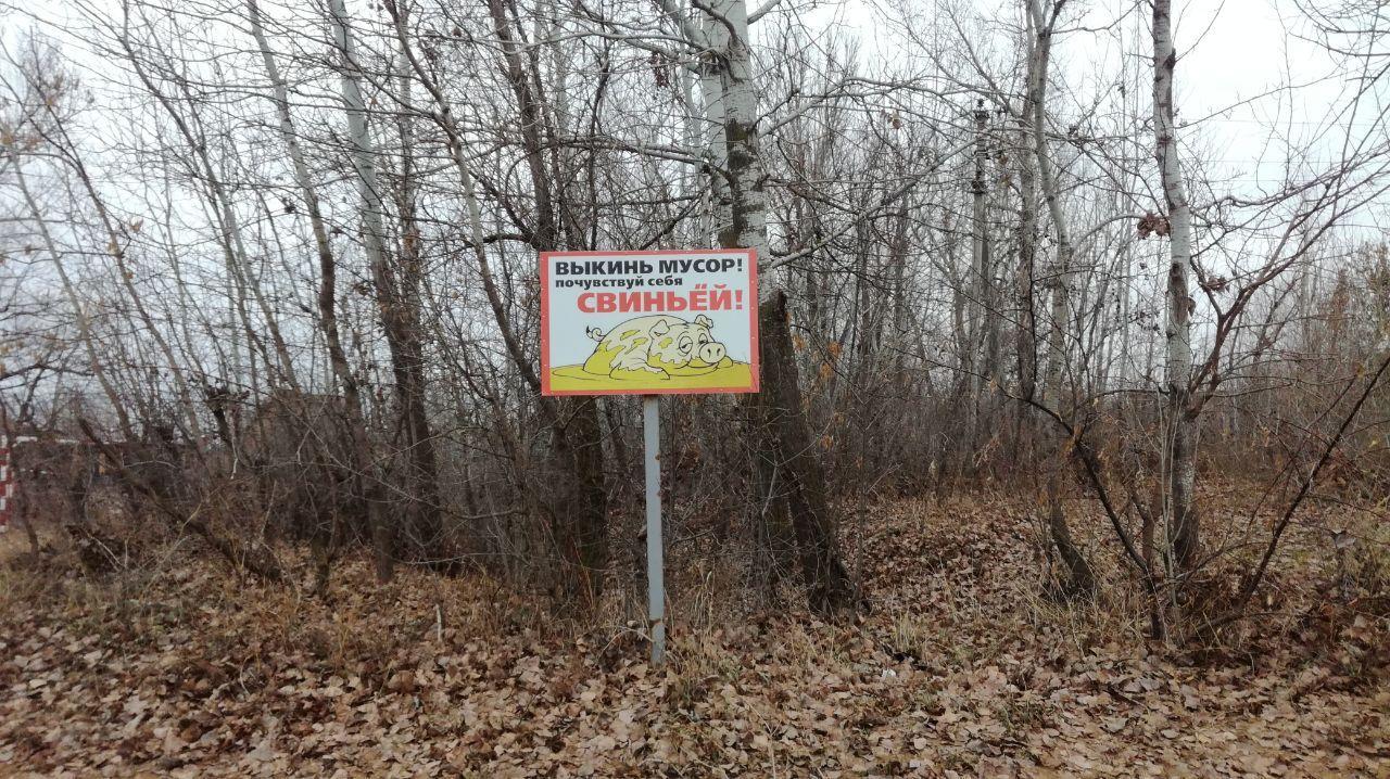 Don't rush to throw away your future - My, Garbage, Nature, The photo