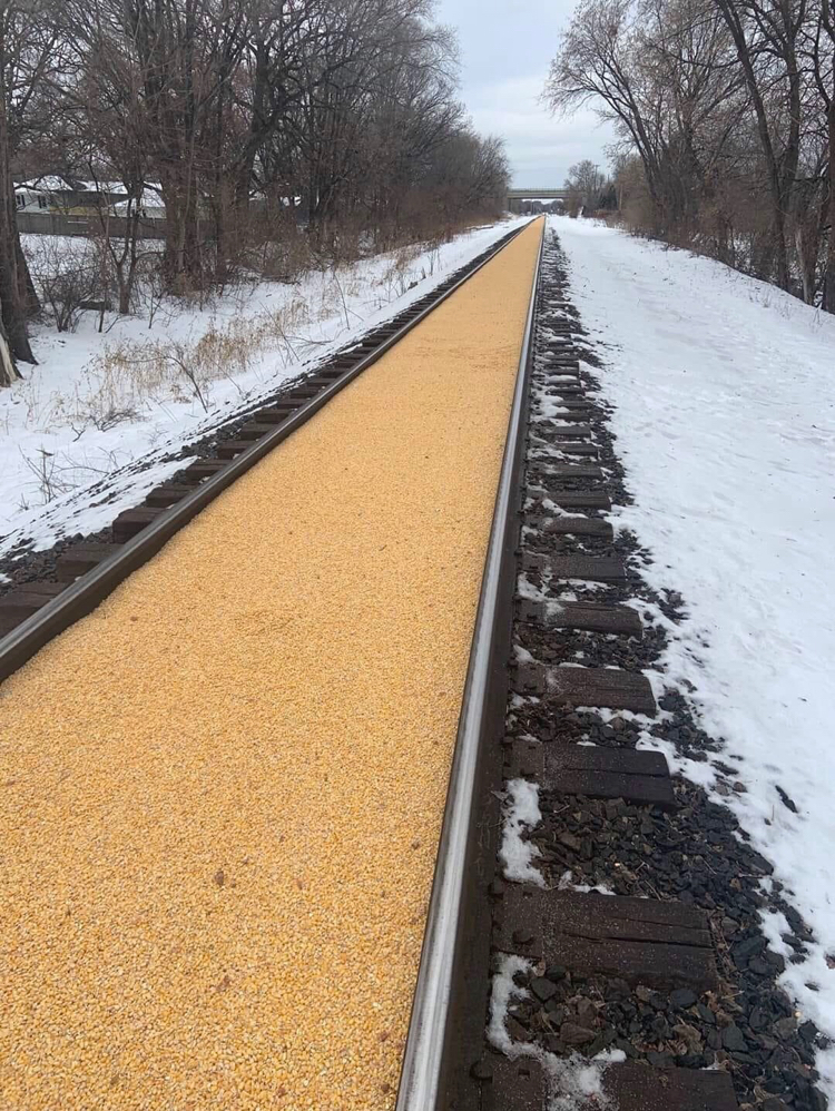 Scattered grain - Corn, Railway, Perfectionism