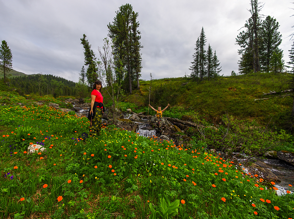 Flower seas - My, Ergaki, Flowers, Travels, Holidays in Russia, Leisure, Family holiday, wildlife, Michael, Longpost