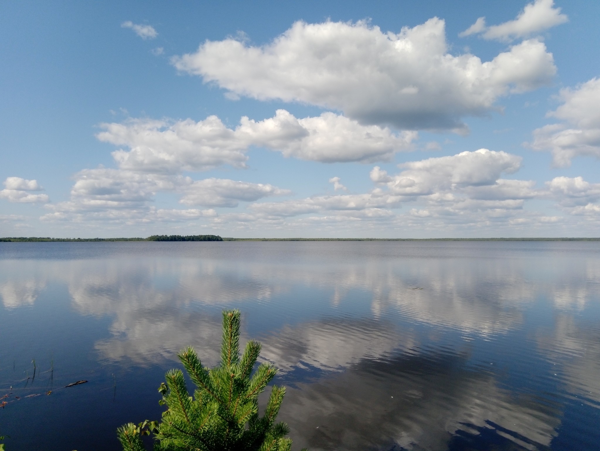 Озеро тигода новгородская область фото