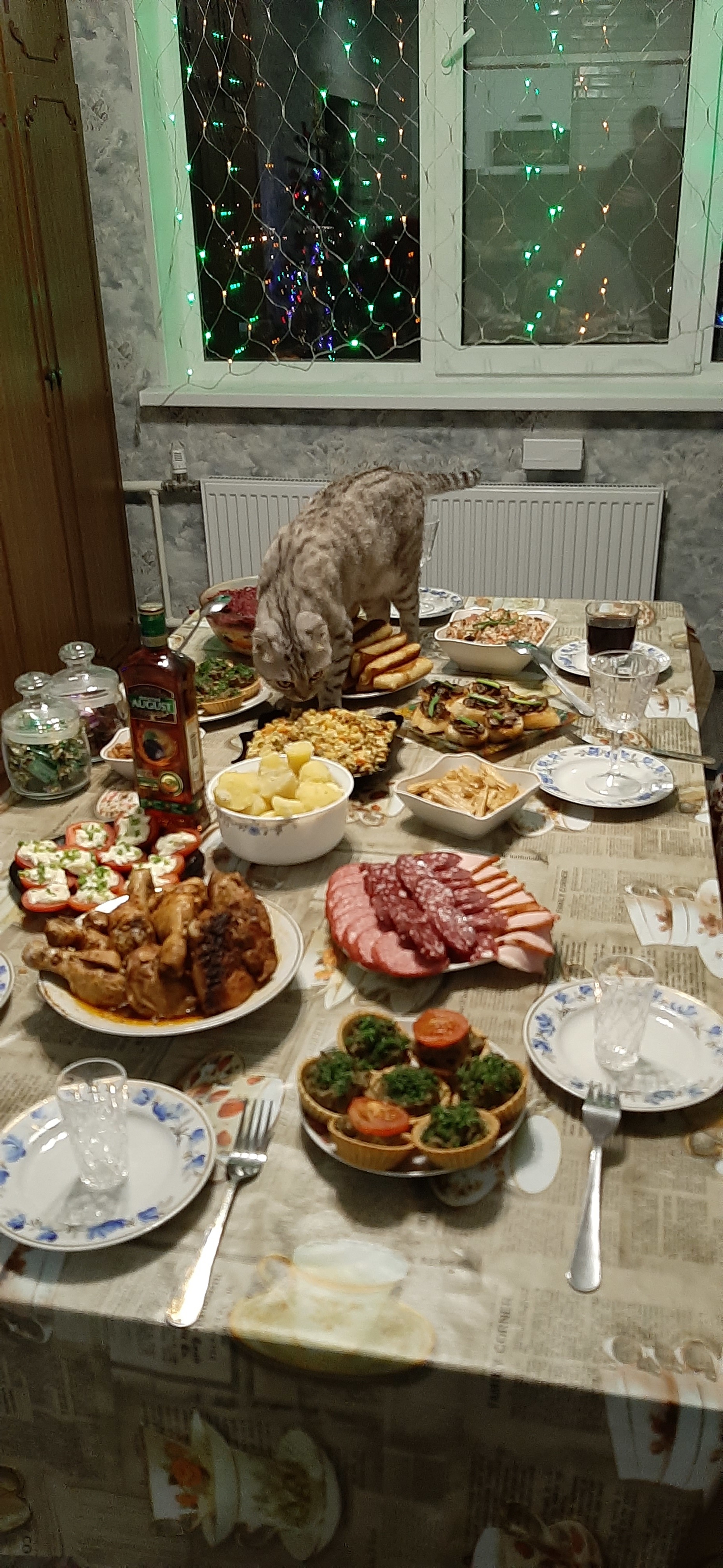 The hunter went on a New Year's hunt - My, cat, New Year, Festive table, Catomafia, The photo, Table, Food, Longpost