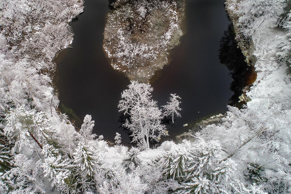 Belarus. Reserve Krasny Bor - Republic of Belarus, Krasny Bor, Nature, The photo, Longpost