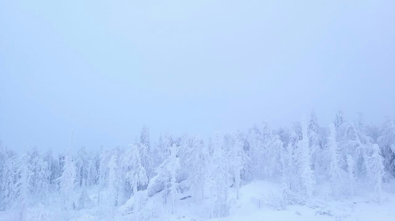 Ural Skyrim - My, Winter, Nature, The photo, Longpost, Snow, Forest