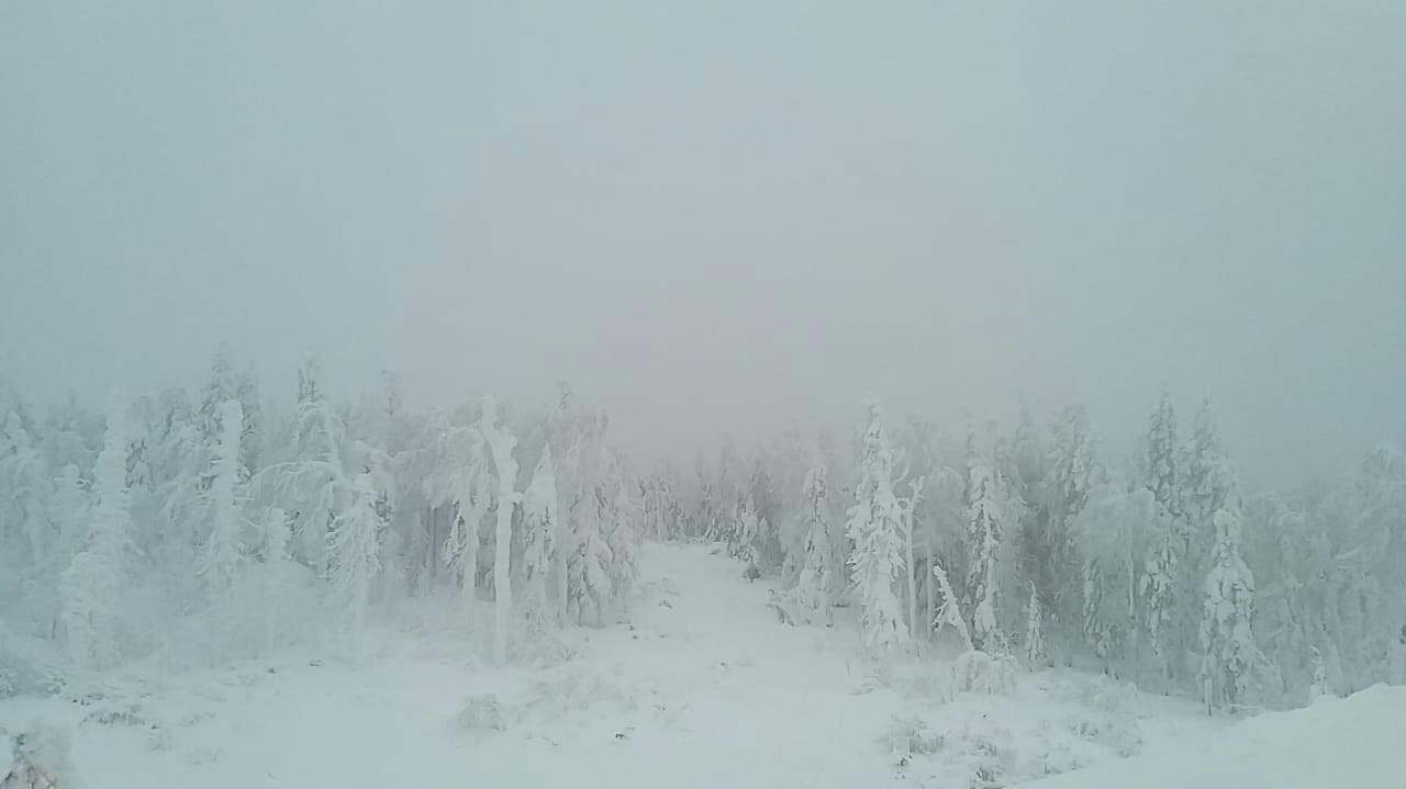 Ural Skyrim - My, Winter, Nature, The photo, Longpost, Snow, Forest