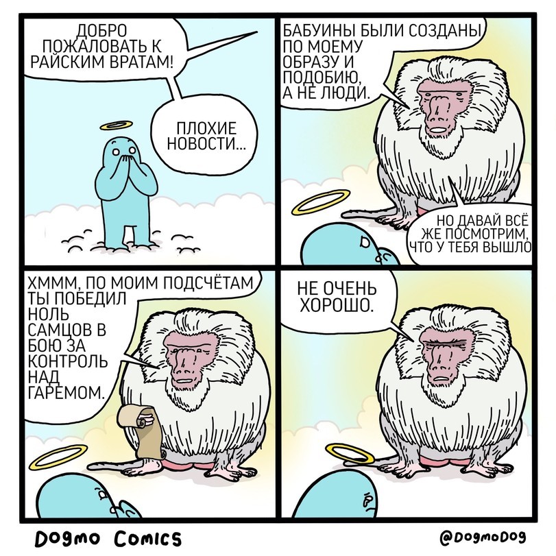 Unexpected judgment - Comics, Dogmodog, Baboons