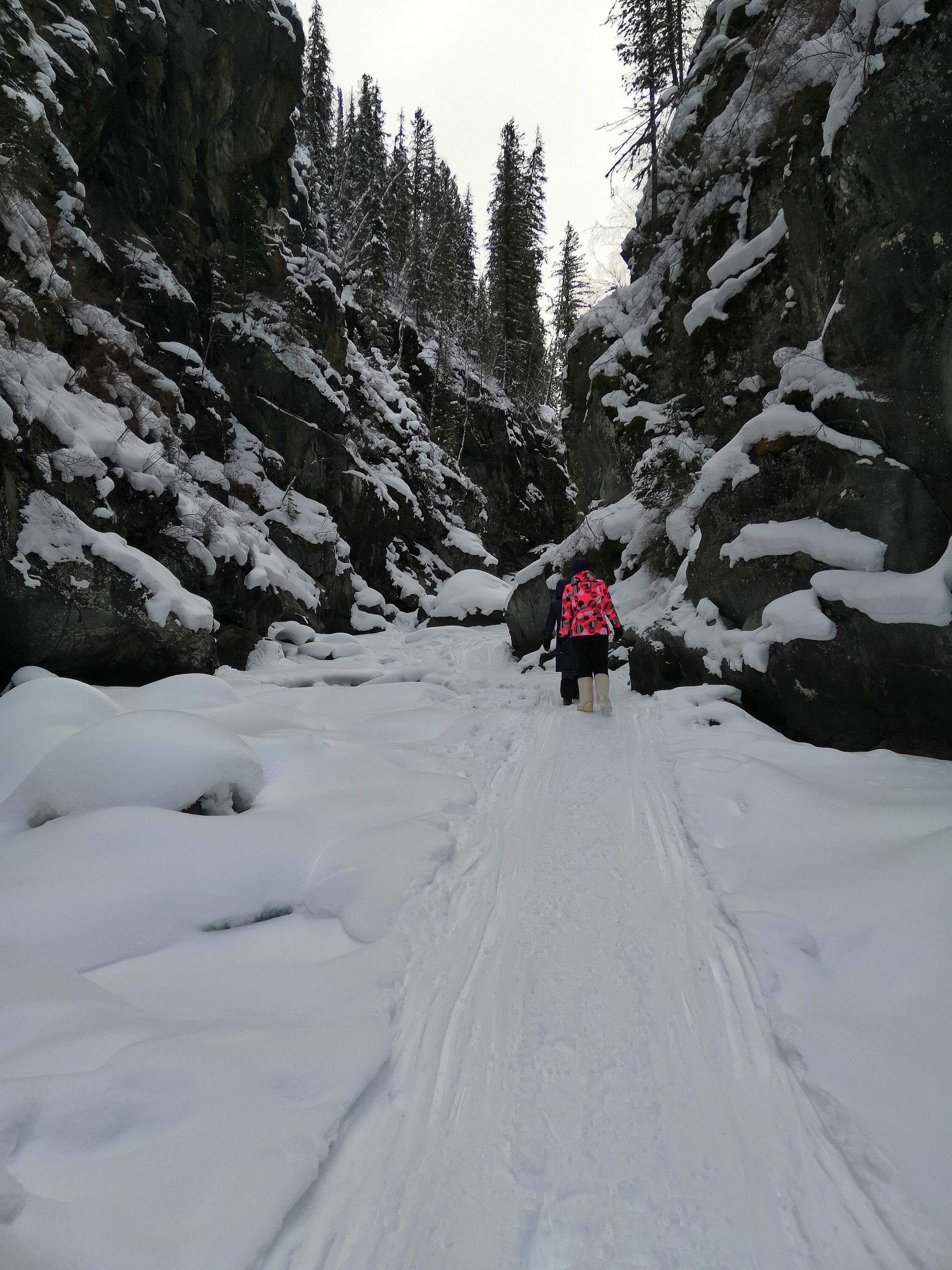 Snowmobile 3-day tour to Belukha - My, Akkem, Forest in winter, The mountains, Snowmobile, Longpost, Beluga Whale Mountain