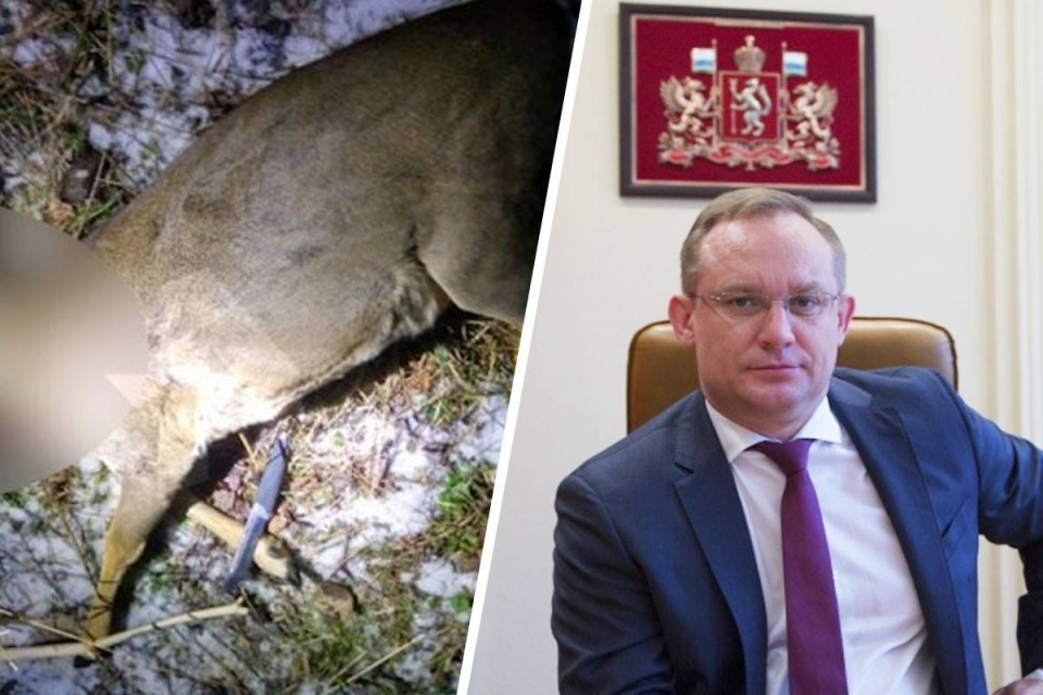 “Nothing terrible happened”: Sverdlovsk official, who was suspected of poaching, commented on the incident - Hunger, Poverty, Poachers, Longpost, Officials, news, Negative