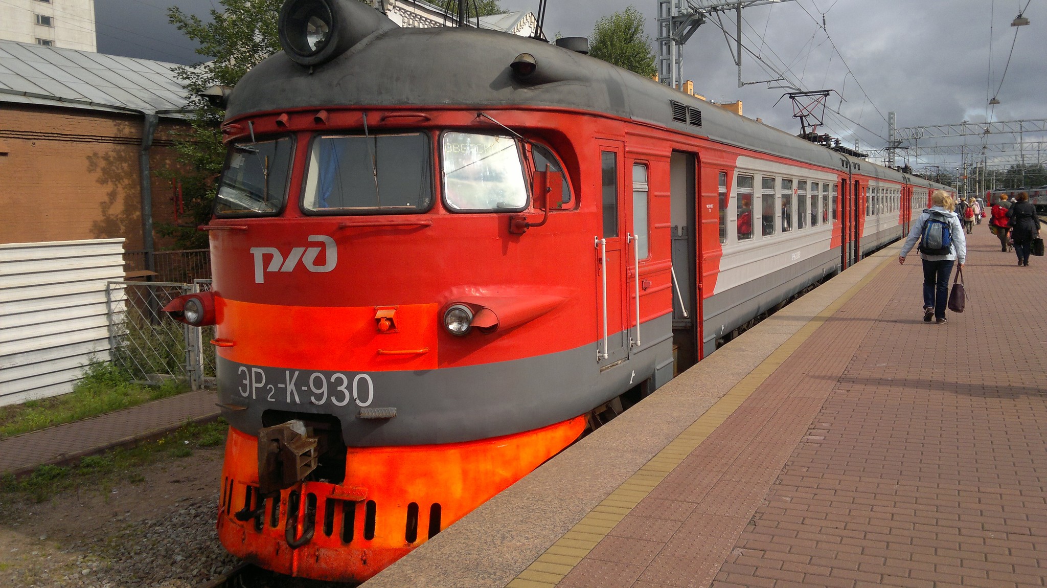 On Erke for mushrooms - Nature, A train, Video, Longpost