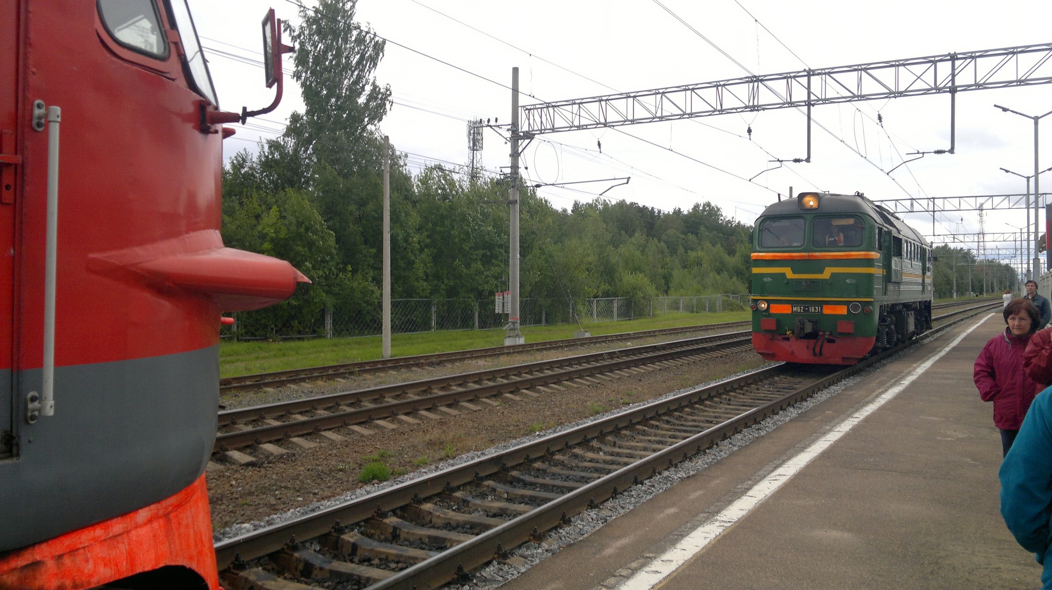 On Erke for mushrooms - Nature, A train, Video, Longpost