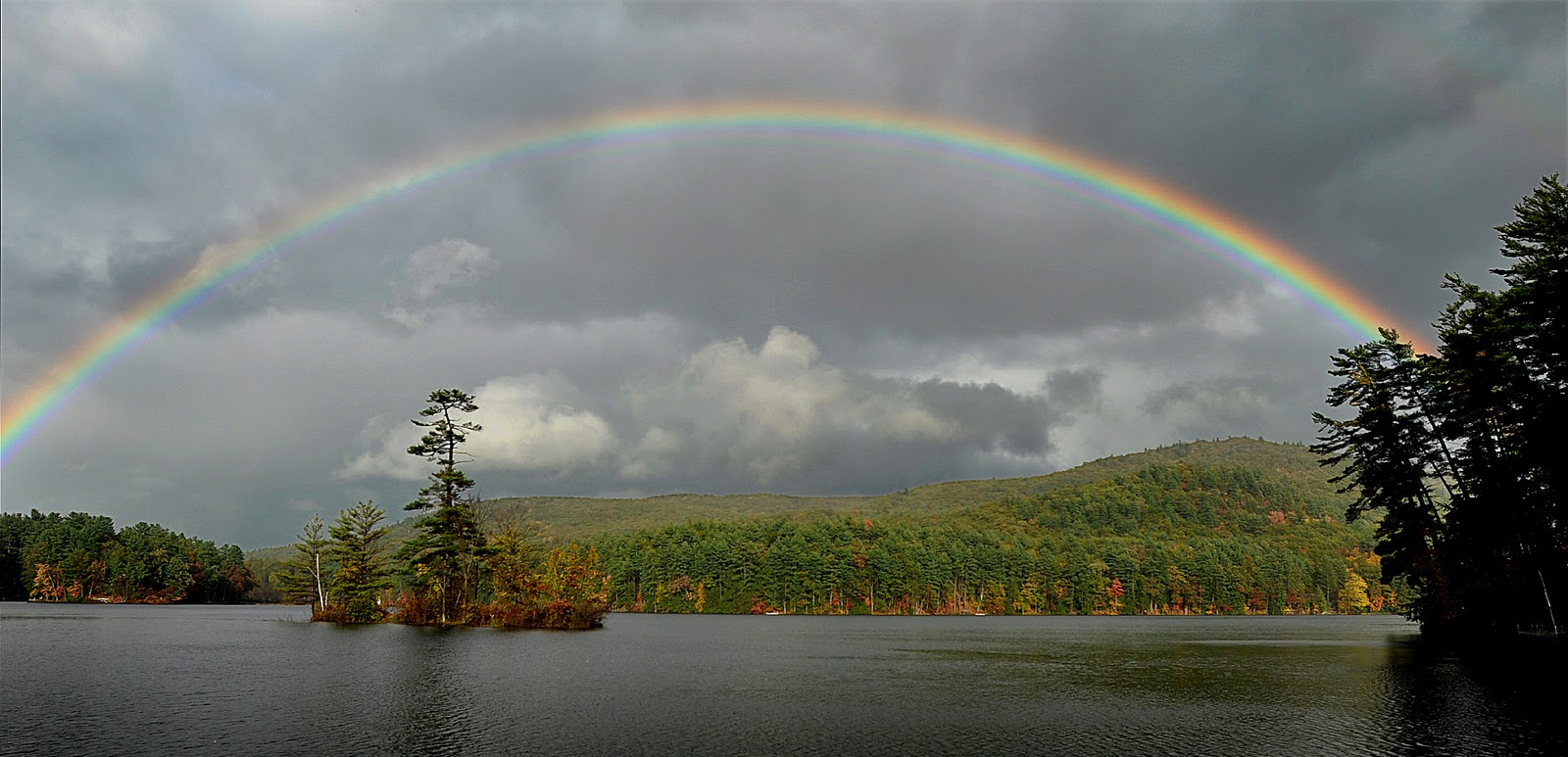 Rainbow | Пикабу